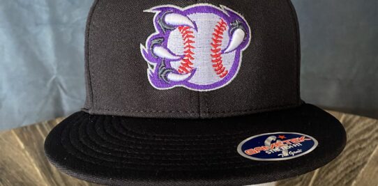 Black flat bill hat custom embroidered with a baseball held between purple claws.